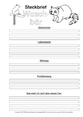 Waschbär-Steckbriefvorlage-sw.pdf